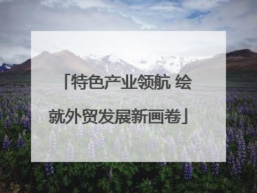 特色产业领航 绘就外贸发展新画卷